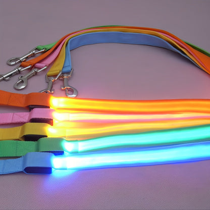 Laisse pour chien Glow Visible - Le Chihuahua Voyageur