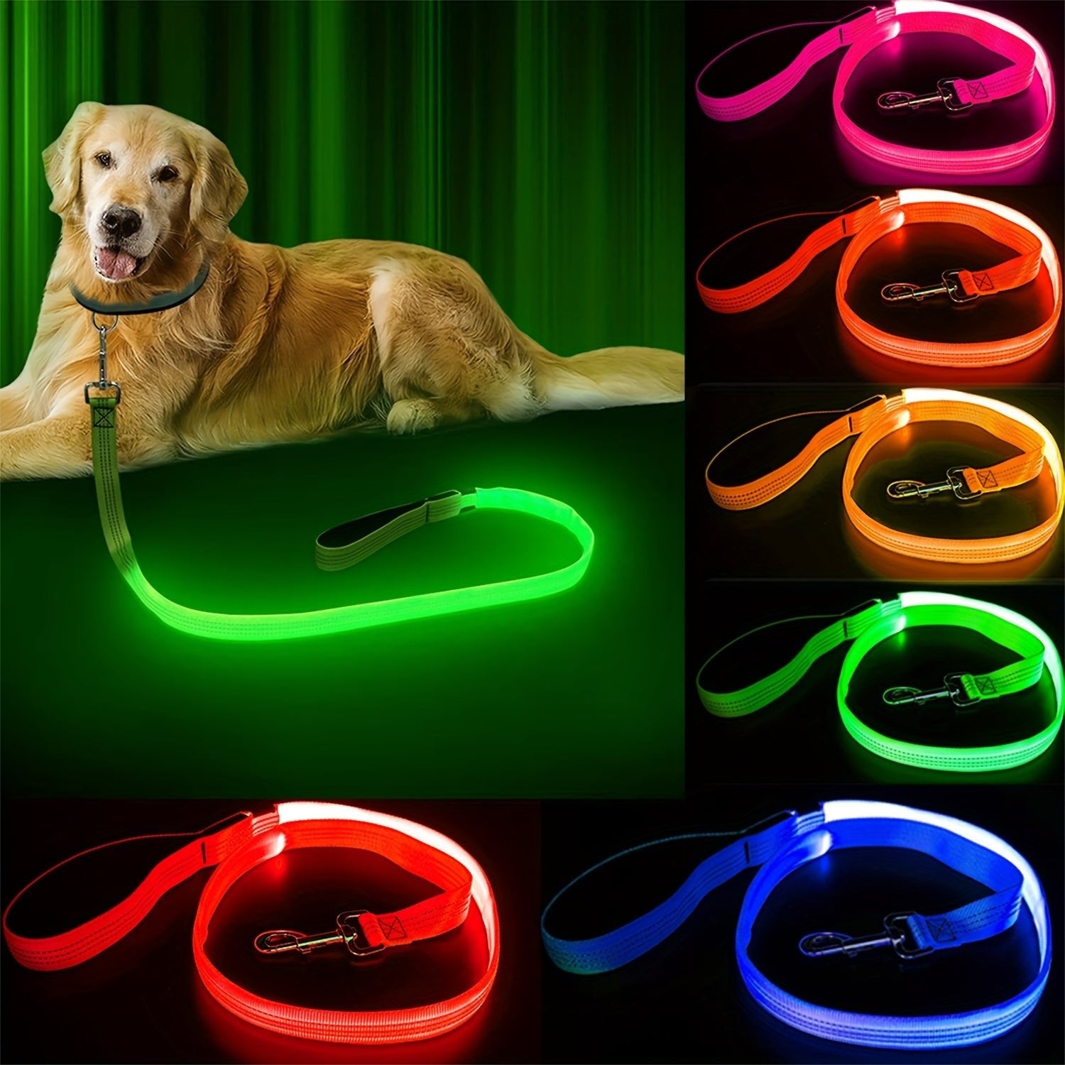 Laisse pour chien Glow Visible - Le Chihuahua Voyageur