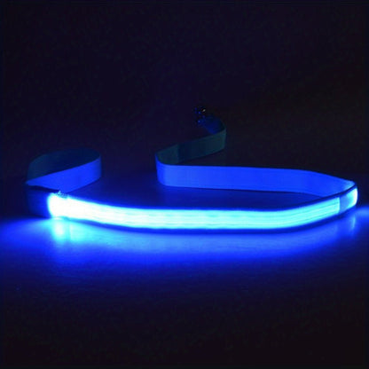 Laisse pour chien Glow Visible - Le Chihuahua Voyageur