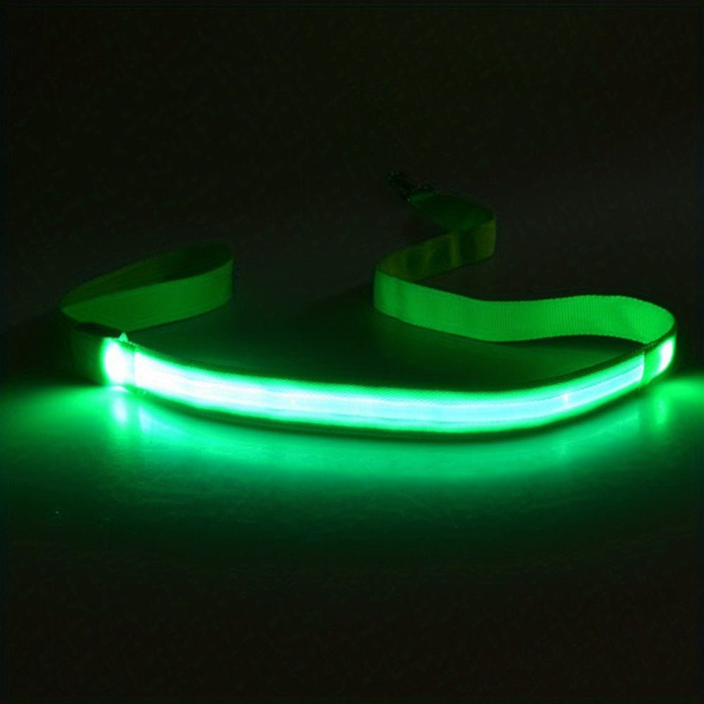 Laisse pour chien Glow Visible - Le Chihuahua Voyageur