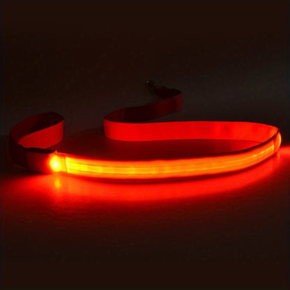 Laisse pour chien Glow Visible - Le Chihuahua Voyageur