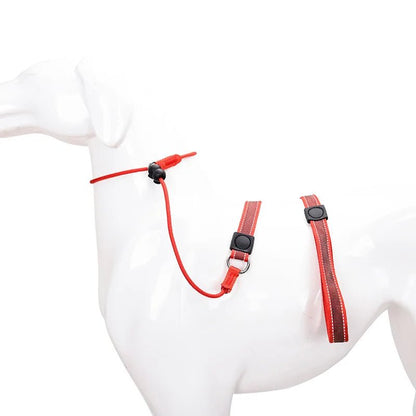 Laisse pour chien JANPET Choking Rope - Le Chihuahua Voyageur