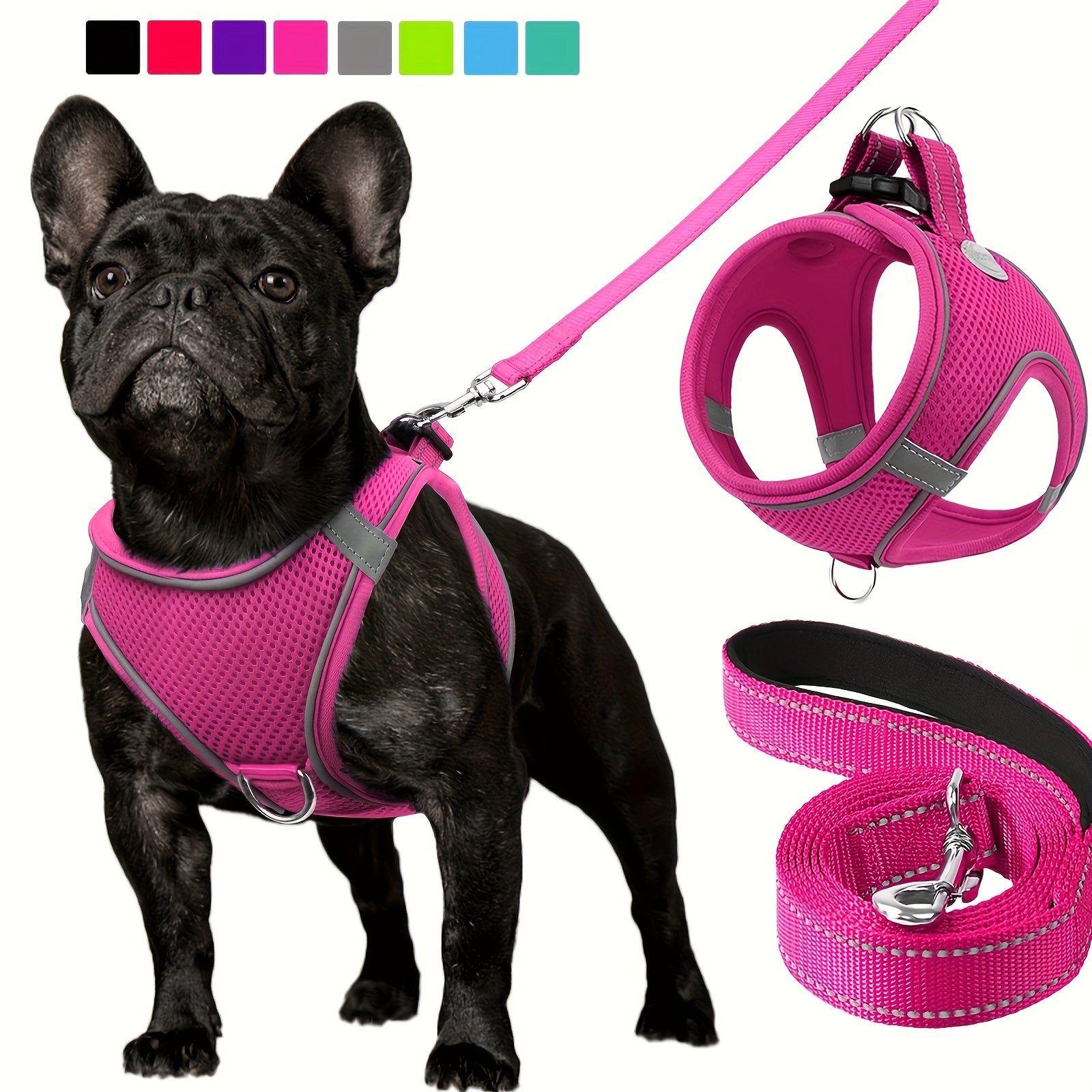 Laisse pour chien - Joytale Reflective Laisse - Harnais - Le Chihuahua Voyageur