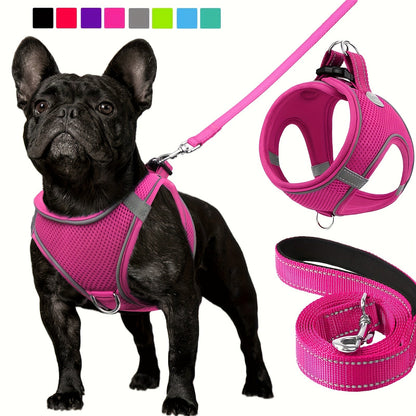 Laisse pour chien - Joytale Reflective Laisse - Harnais - Le Chihuahua Voyageur