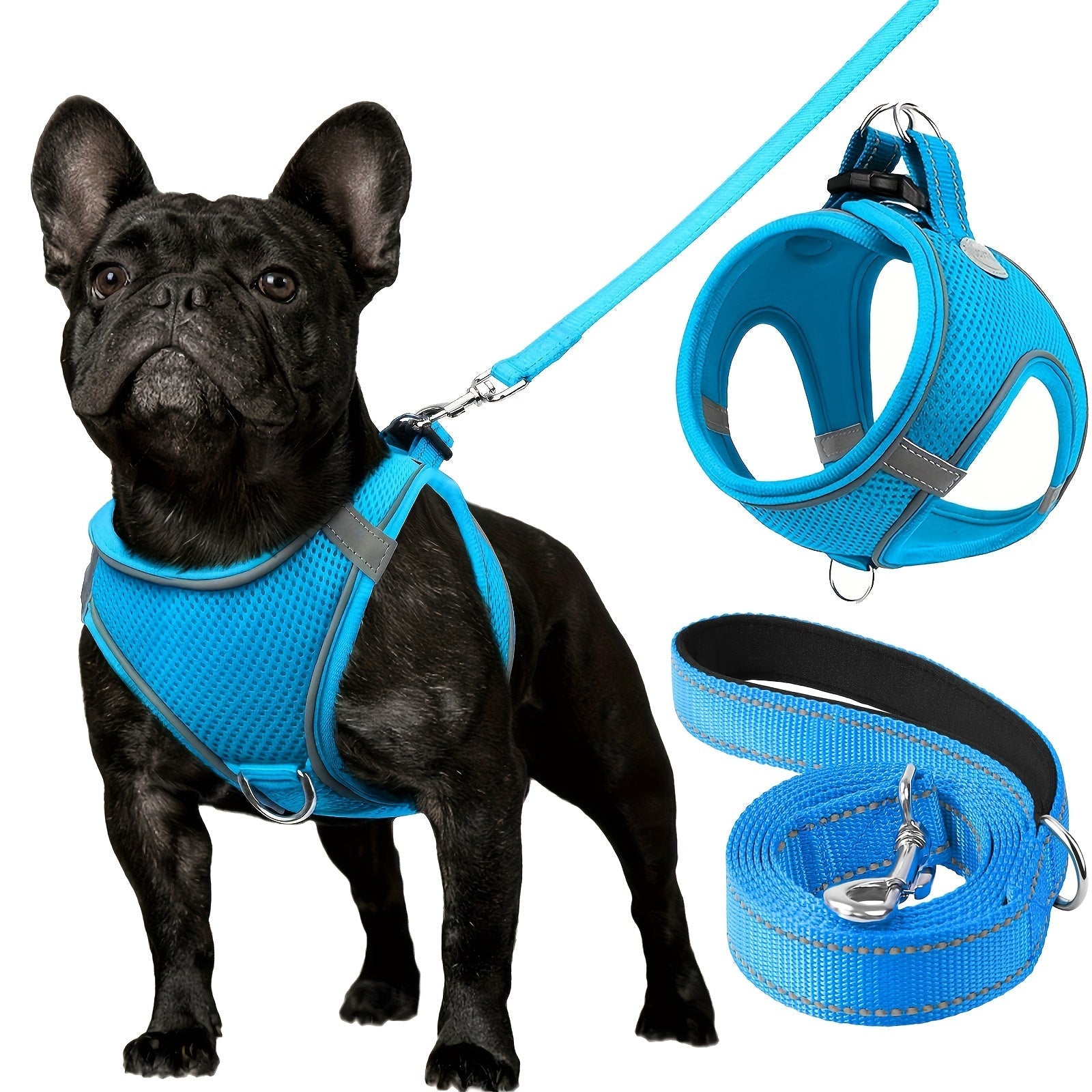Laisse pour chien - Joytale Reflective Laisse - Harnais - Le Chihuahua Voyageur