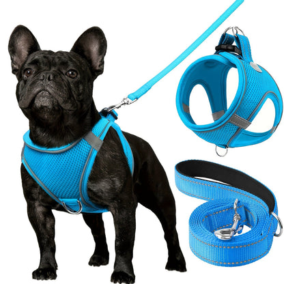 Laisse pour chien - Joytale Reflective Laisse - Harnais - Le Chihuahua Voyageur