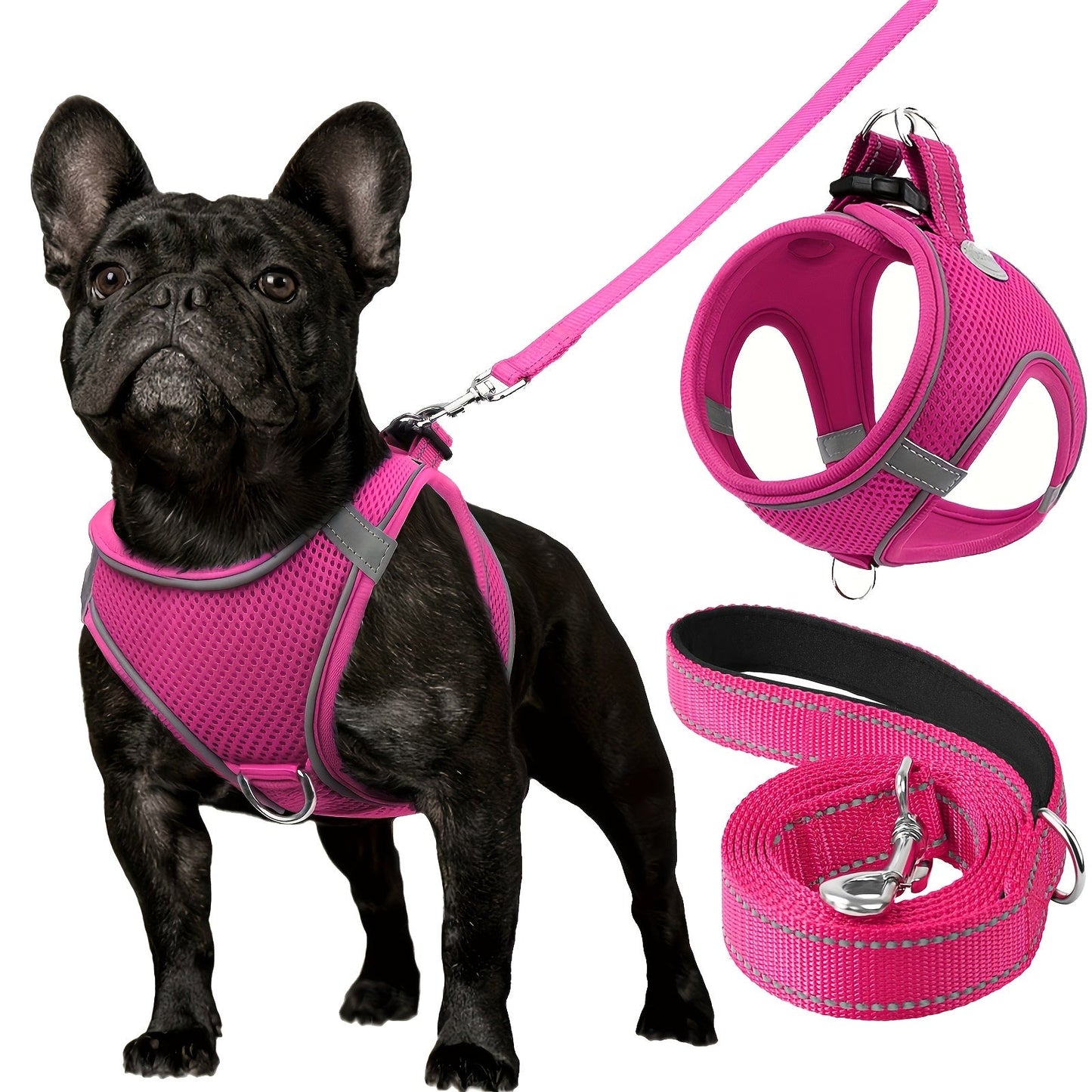 Laisse pour chien - Joytale Reflective Laisse - Harnais - Le Chihuahua Voyageur