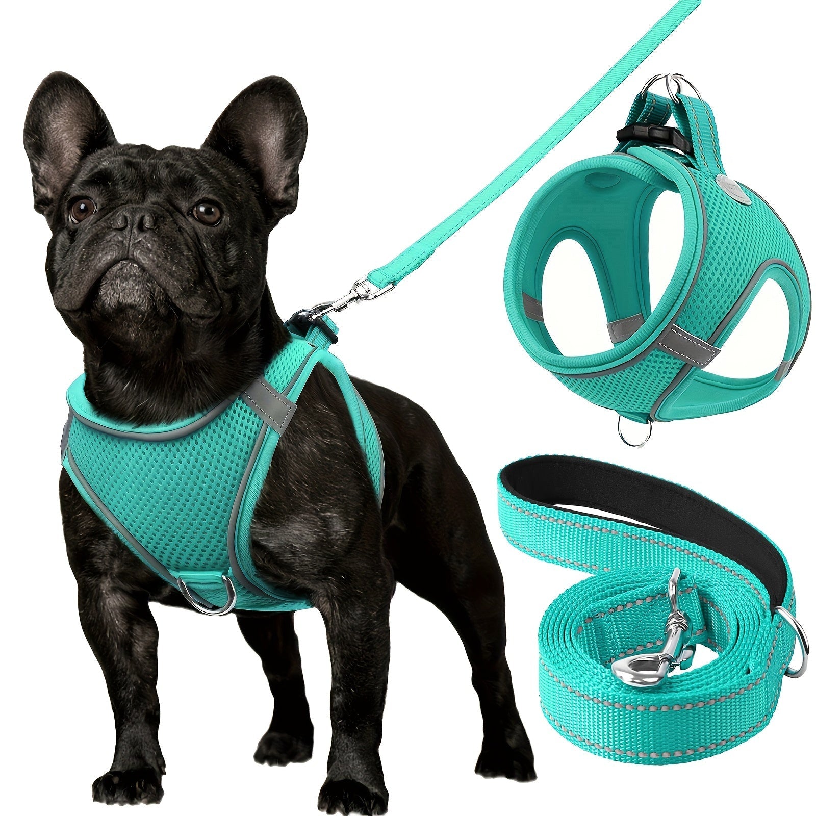 Laisse pour chien - Joytale Reflective Laisse - Harnais - Le Chihuahua Voyageur