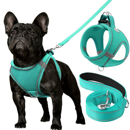 Laisse pour chien - Joytale Reflective Laisse - Harnais - Le Chihuahua Voyageur