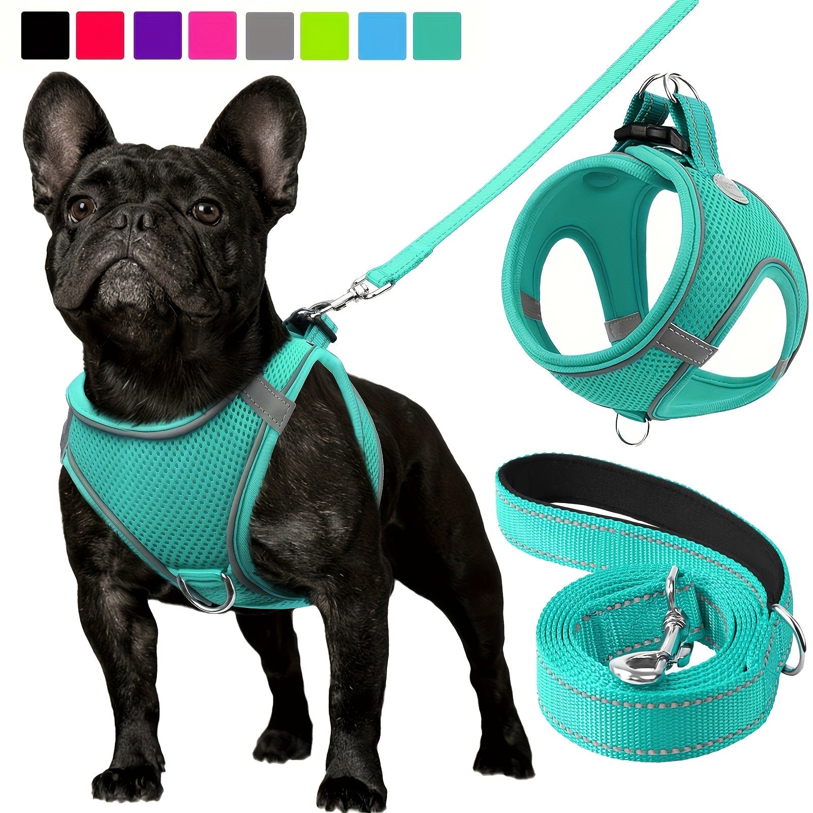 Laisse pour chien - Joytale Reflective Laisse - Harnais - Le Chihuahua Voyageur