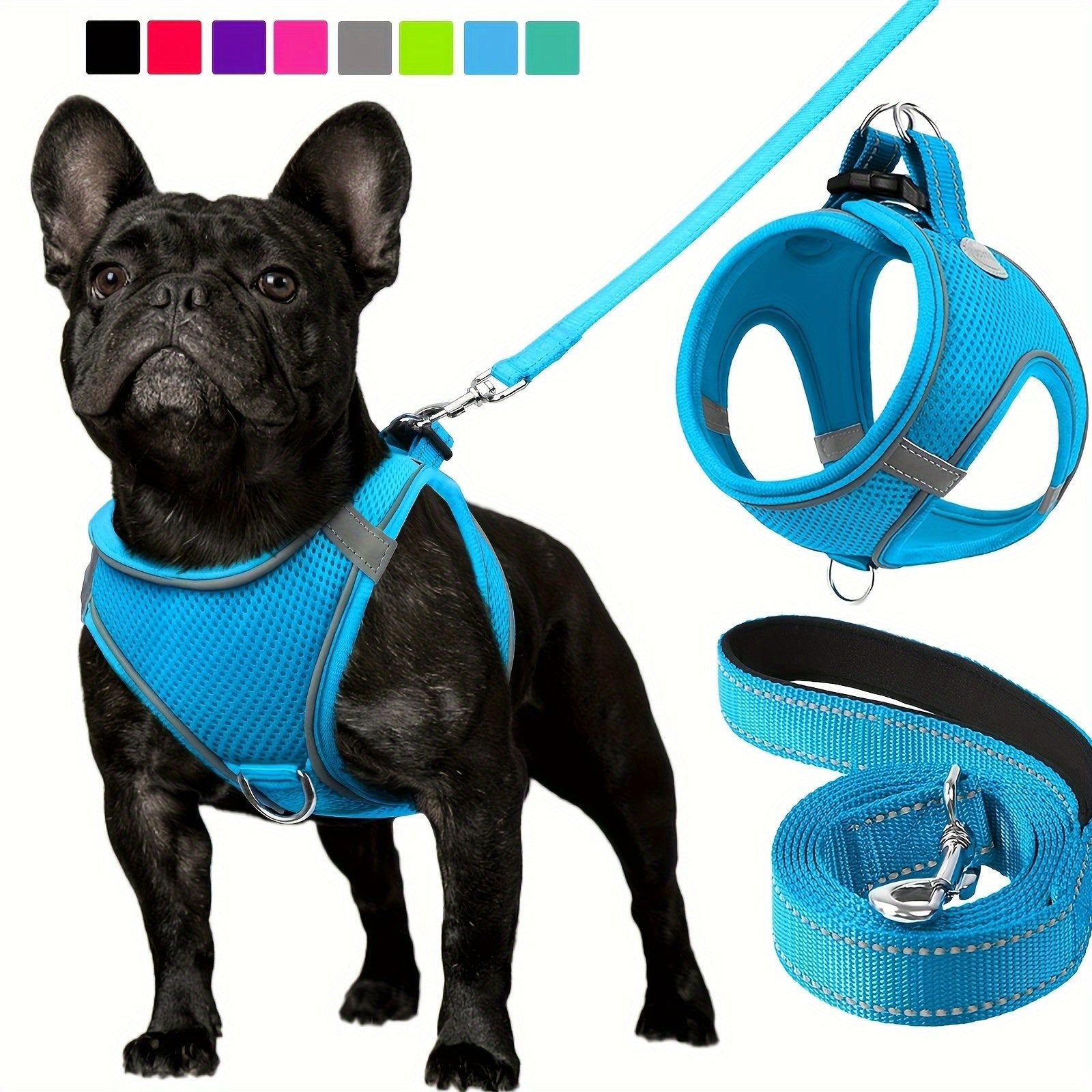 Laisse pour chien - Joytale Reflective Laisse - Harnais - Le Chihuahua Voyageur