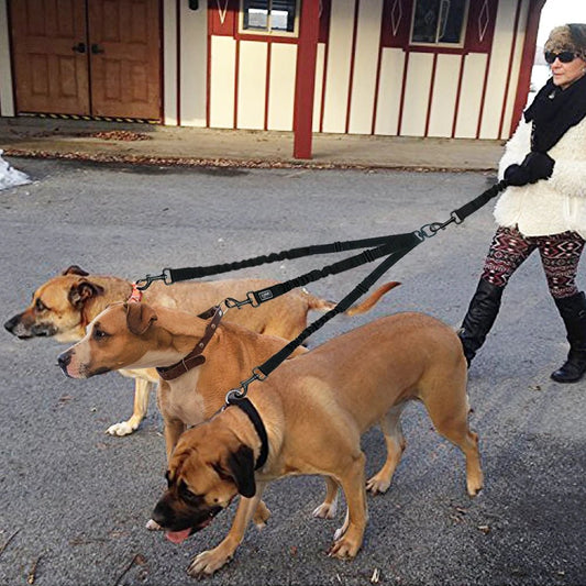 Laisse pour chien - No - Pull 3 Way - Le Chihuahua Voyageur