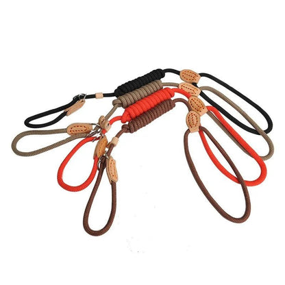 Laisse pour chien - P Chain Dog Leash Slip Collar - Le Chihuahua Voyageur