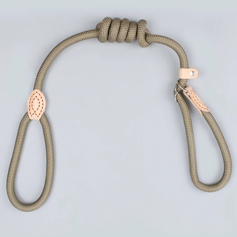 Laisse pour chien - P Chain Dog Leash Slip Collar - Le Chihuahua Voyageur