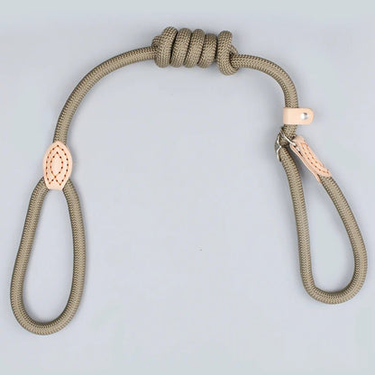 Laisse pour chien - P Chain Dog Leash Slip Collar - Le Chihuahua Voyageur