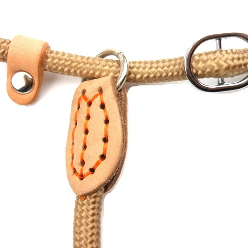 Laisse pour chien - P Chain Dog Leash Slip Collar - Le Chihuahua Voyageur