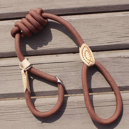 Laisse pour chien - P Chain Dog Leash Slip Collar - Le Chihuahua Voyageur