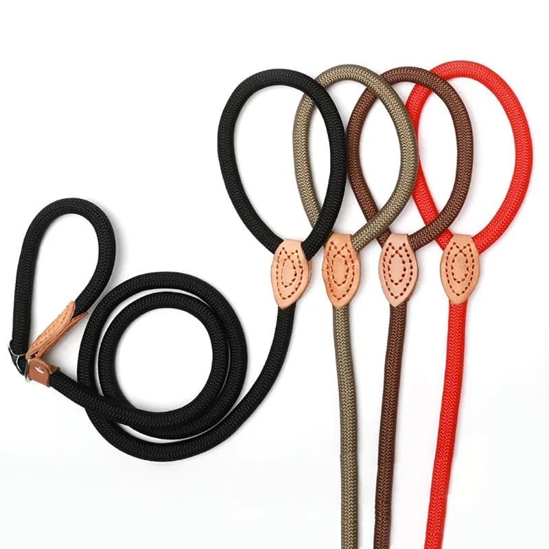 Laisse pour chien - P Chain Dog Leash Slip Collar - Le Chihuahua Voyageur