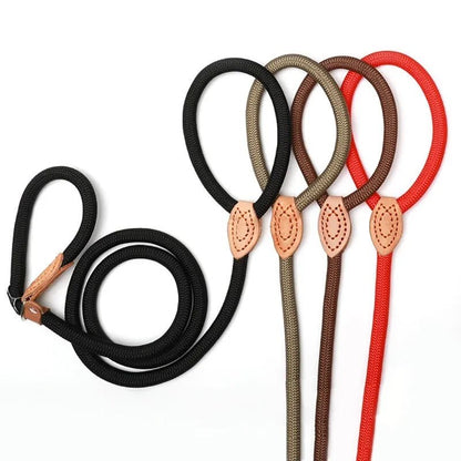 Laisse pour chien - P Chain Dog Leash Slip Collar - Le Chihuahua Voyageur