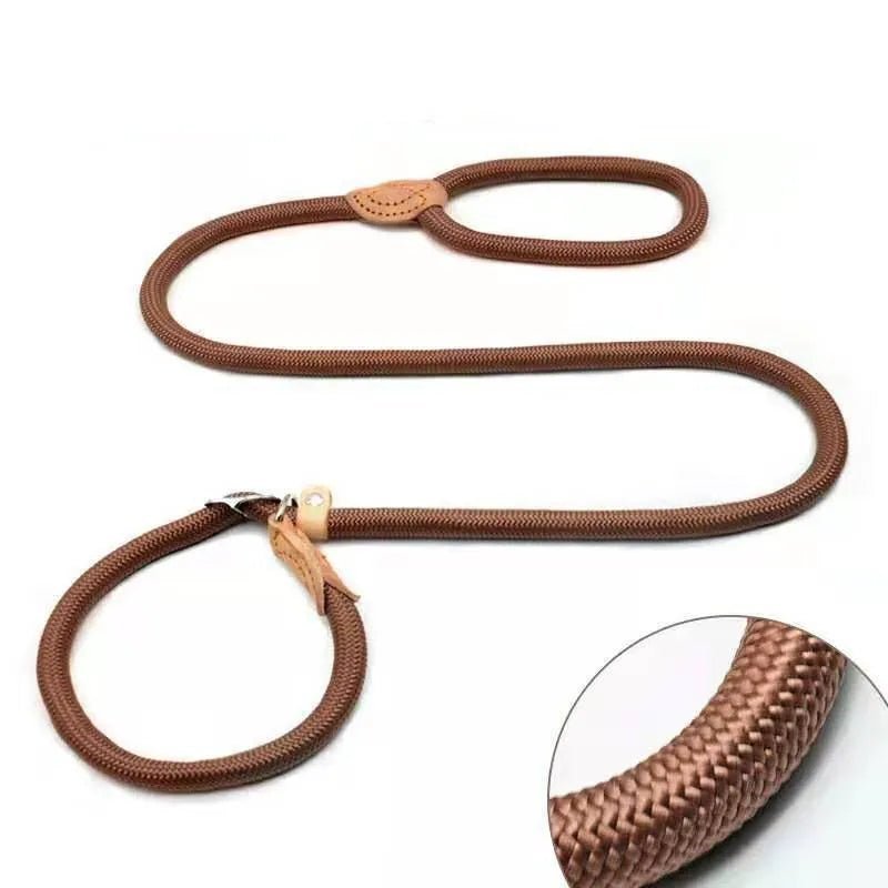 Laisse pour chien - P Chain Dog Leash Slip Collar - Le Chihuahua Voyageur