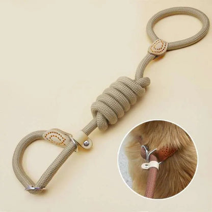 Laisse pour chien - P Chain Dog Leash Slip Collar - Le Chihuahua Voyageur
