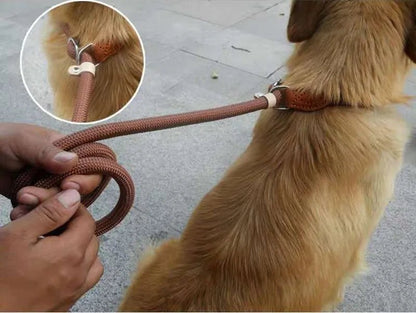 Laisse pour chien - P Chain Dog Leash Slip Collar - Le Chihuahua Voyageur