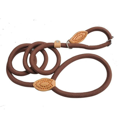 Laisse pour chien - P Chain Dog Leash Slip Collar - Le Chihuahua Voyageur