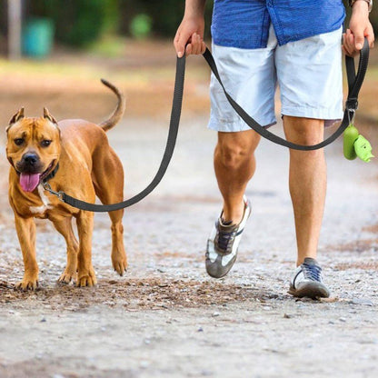 Laisse pour chien réfléchissante classique - Le Chihuahua Voyageur