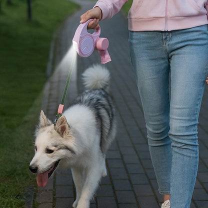 Laisse pour Chien | Ultra-Résistante - Le Chihuahua Voyageur