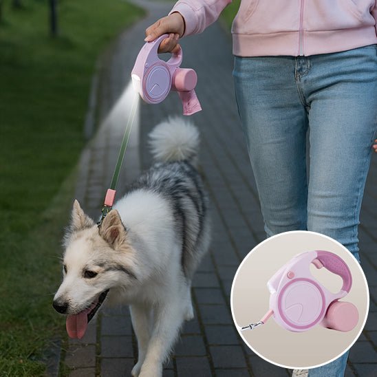 Laisse pour Chien | Ultra-Résistante - Le Chihuahua Voyageur