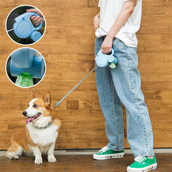 Laisse pour Chien | Ultra-Résistante - Le Chihuahua Voyageur