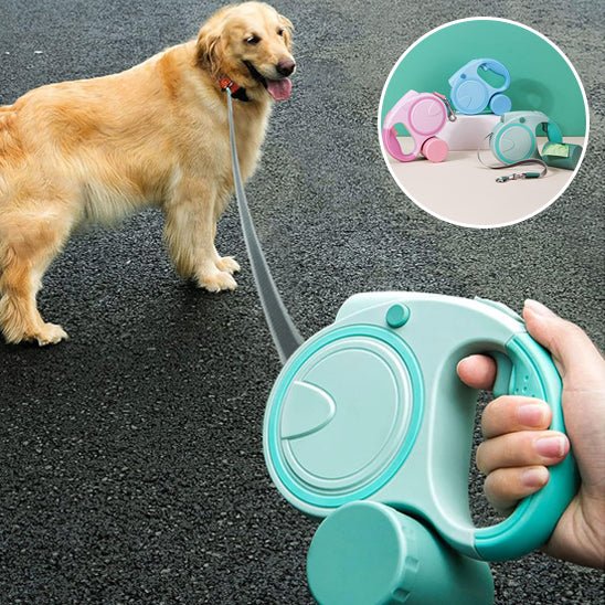 Laisse pour Chien | Ultra-Résistante - Le Chihuahua Voyageur