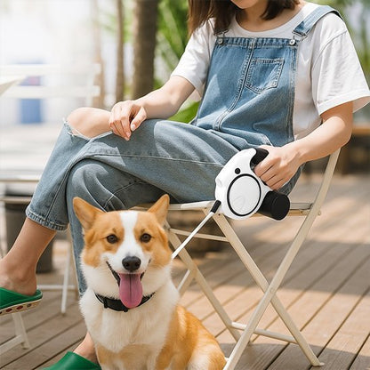 Laisse pour Chien | Ultra-Résistante - Le Chihuahua Voyageur
