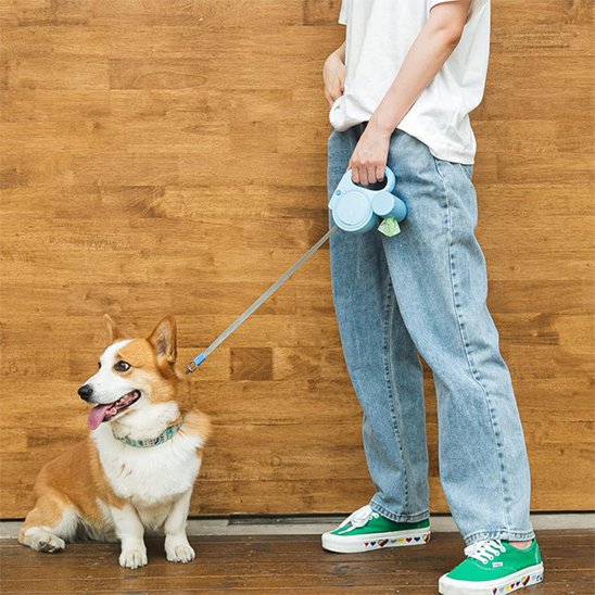 Laisse pour Chien