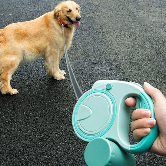 Laisse pour Chien
