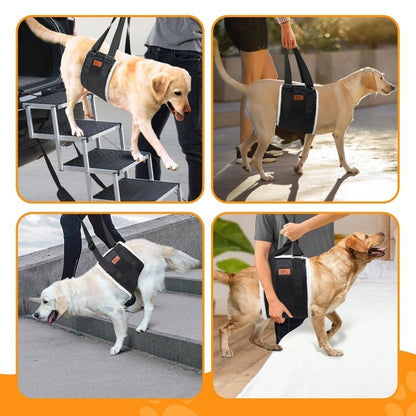 Le harnais pour chien - Aide portable - Le Chihuahua Voyageur