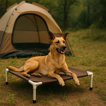 Lit de camp Chien