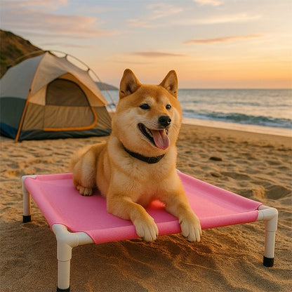Lit de camp Chien