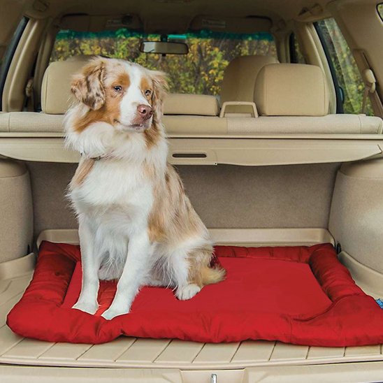 Lit de camp pour chien