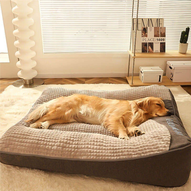 Lit pour chien - Nid velours - Le Chihuahua Voyageur