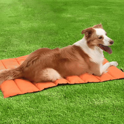 Lit de camp pour chien - Sac de couchage