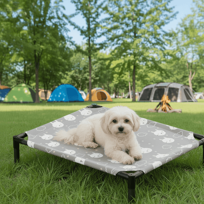 Lit pour Chien surélevé | Confort Aéré - Le Chihuahua Voyageur