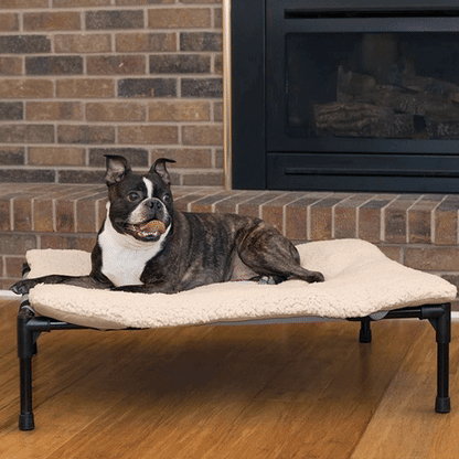 Lit pour chien surélevé