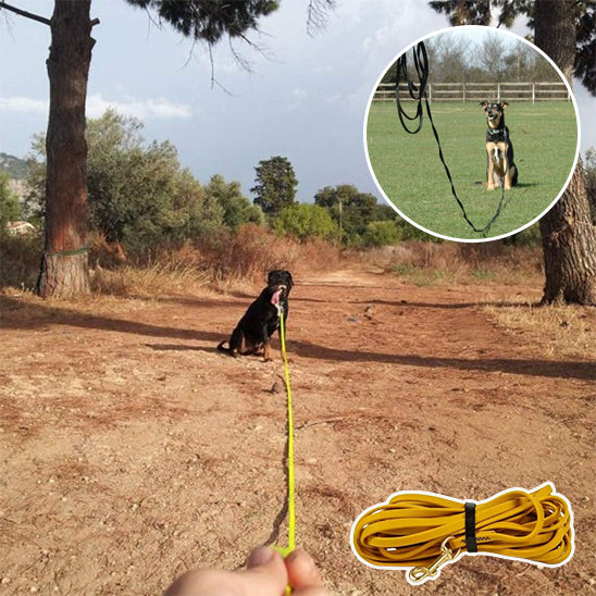 Longe pour chien- Tockfit