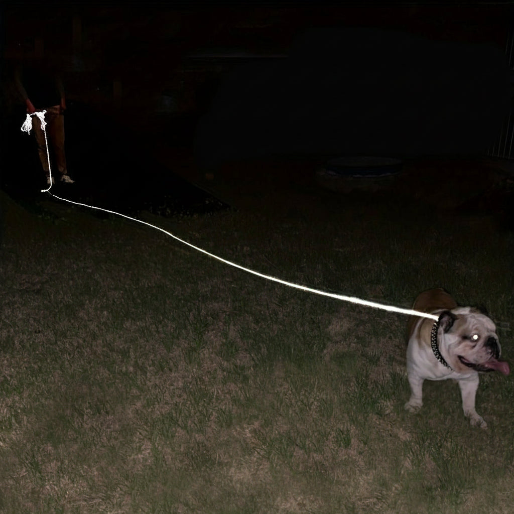 Longe pour chien - Educ Professionnel - Le Chihuahua Voyageur