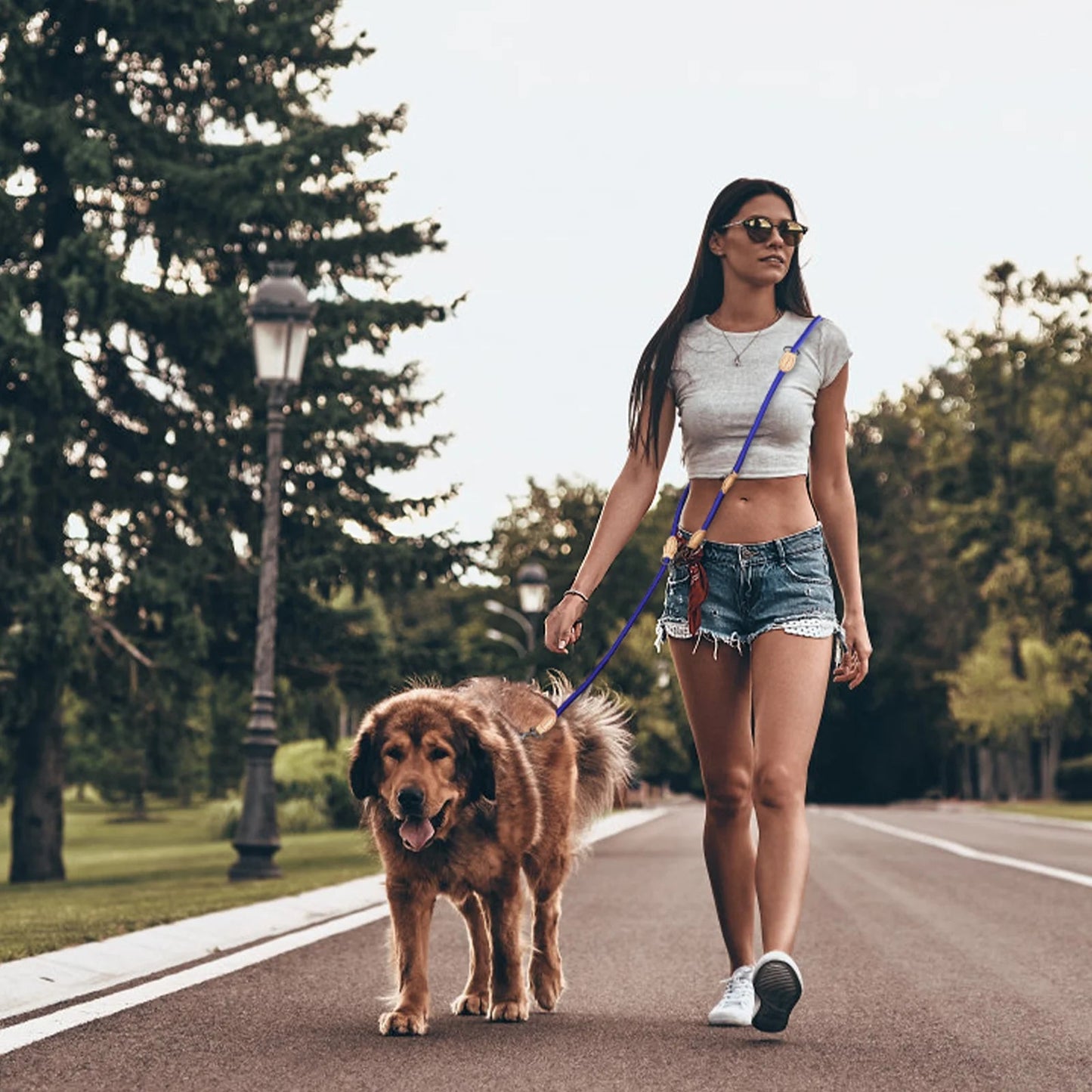Longe pour chien - Multipurpose Altrapet - Le Chihuahua Voyageur