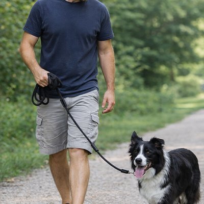 Longe pour Chien | Résistante et Confortable - Le Chihuahua Voyageur