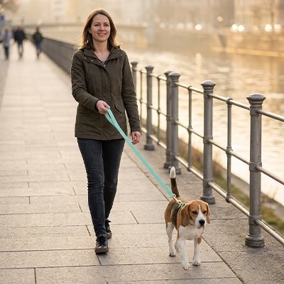 Longe pour Chien | Robuste et Confortable - Le Chihuahua Voyageur