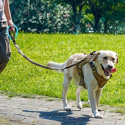 Longe pour chien - Tactique mousqueton - Le Chihuahua Voyageur