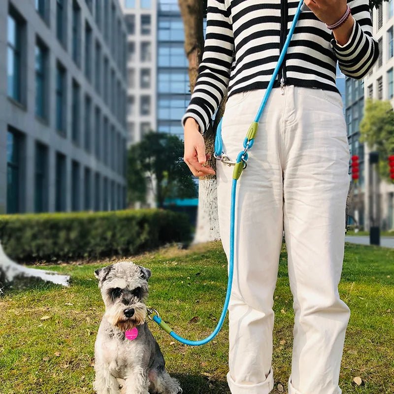 Longe pour chien - YOUSE Free Hands Rope - Le Chihuahua Voyageur